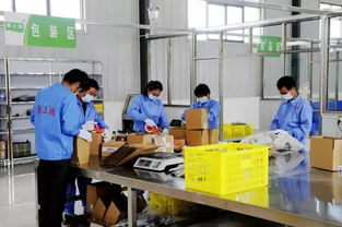 電商筑夢，振興鄉(xiāng)村 徽縣電子商務平臺開發(fā)運營助力脫貧攻堅