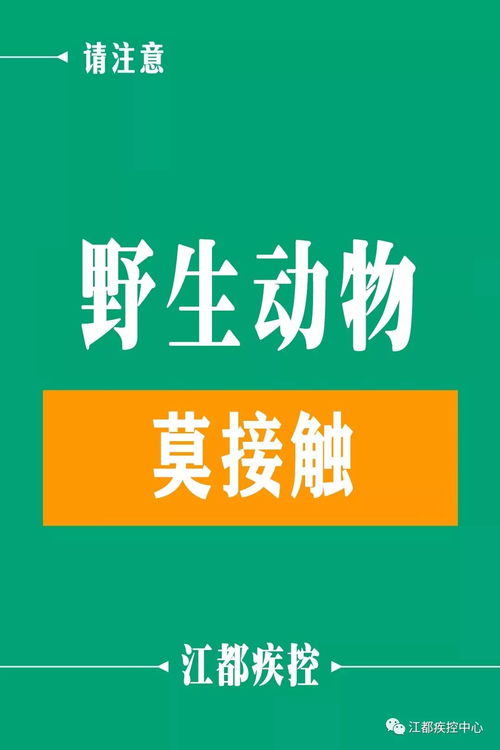 江都疾控新春健康提示 健康過(guò)新年，熱線(xiàn)伴您行